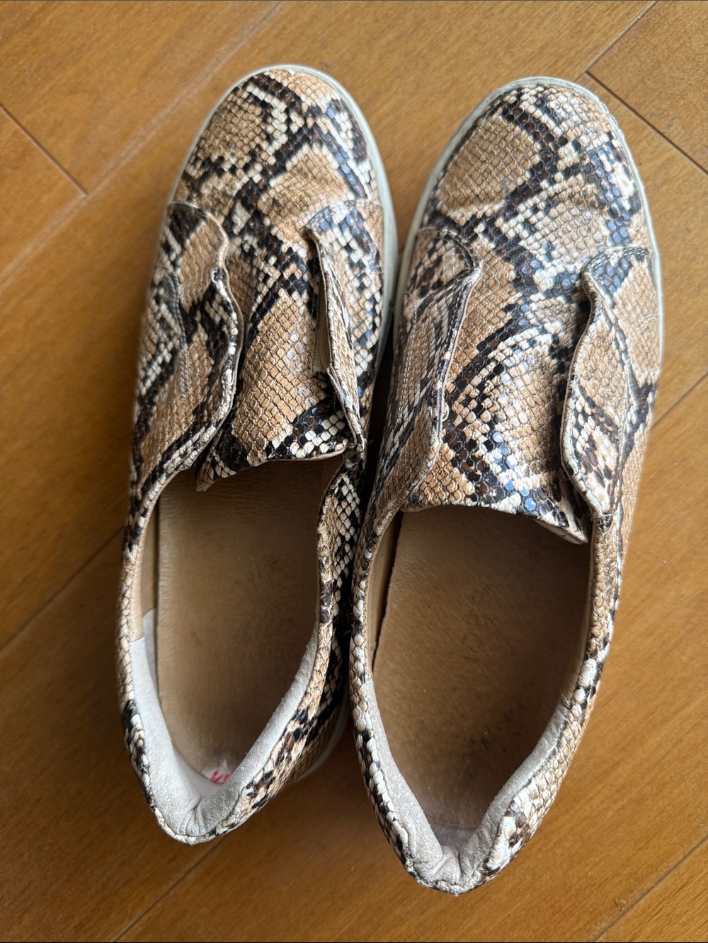 J/SlidesSnake Print Slip-On Sneakers in Tan and Black